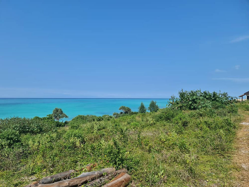 Bright green coastal vegetation stretches toward a calm, vivid turquoise sea under a clear