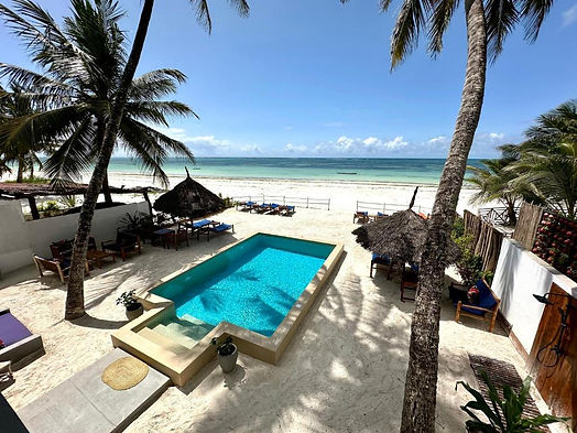 Aerial photo of botanica suites michamvi zanzibar.jpg
