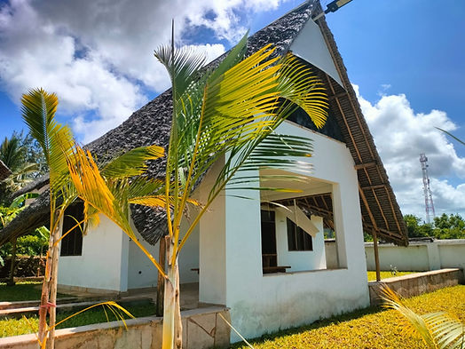 Aerial photo of botanica suites michamvi zanzibar.jpg