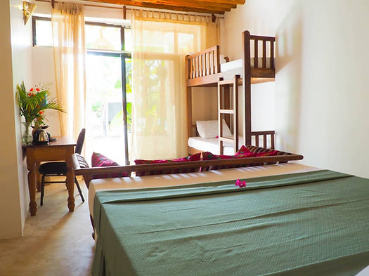 Aerial photo of botanica suites michamvi zanzibar.jpg