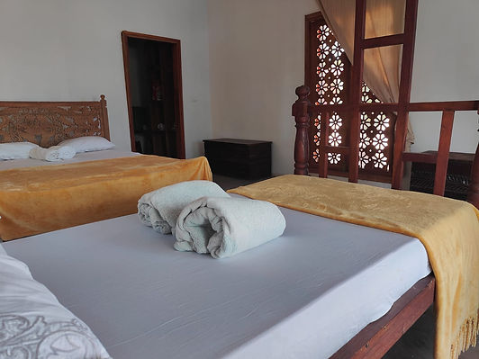 Aerial photo of botanica suites michamvi zanzibar.jpg