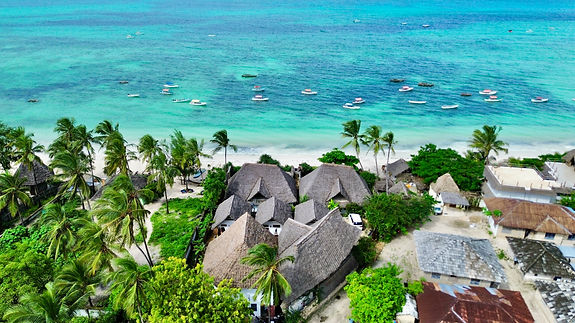 Aerial photo of botanica suites michamvi zanzibar.jpg