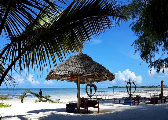 Aerial photo of botanica suites michamvi zanzibar.jpg