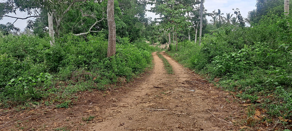 Zanzibar Beach Plot For Sale - 55,531 SQM