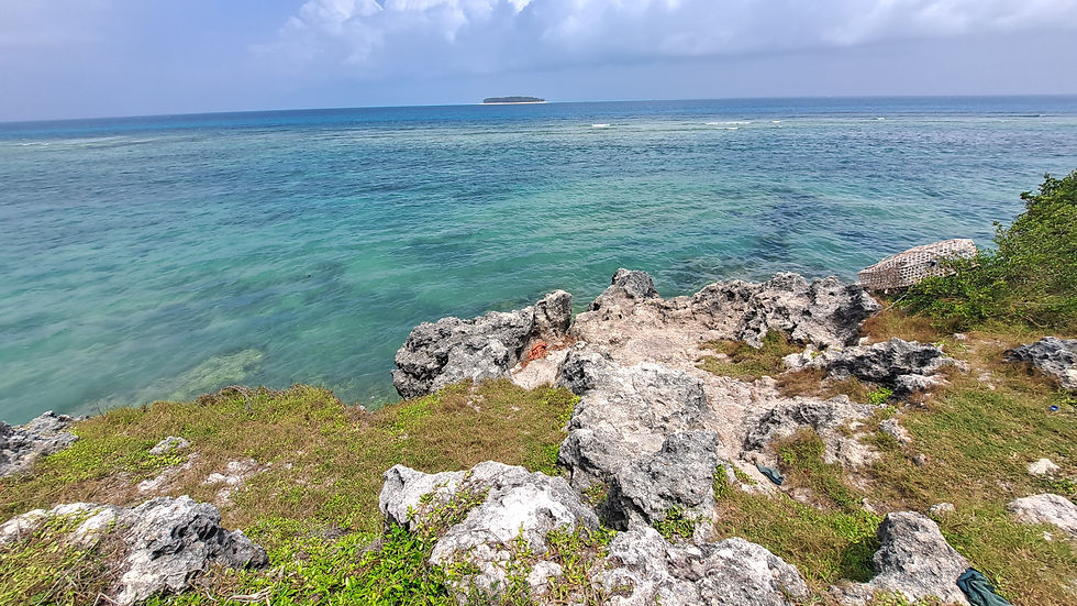 Zanzibar cliff top beach front land for sale in matemwe zanzibar