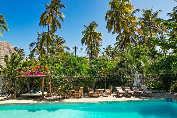 Aerial photo of botanica suites michamvi zanzibar.jpg