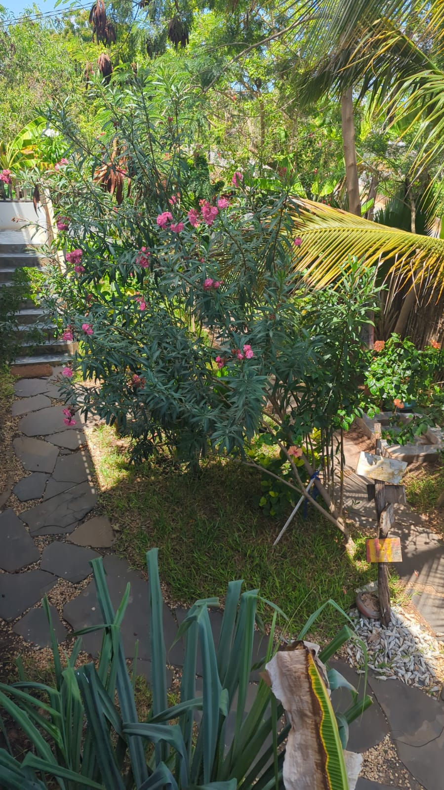 zanzibar second line hotel for sale in the kiwengwa region with 4 bedrooms