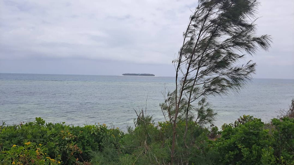 Zanzibar cliff top beach front land for sale in matemwe zanzibar