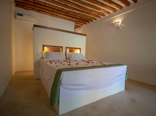 Aerial photo of botanica suites michamvi zanzibar.jpg