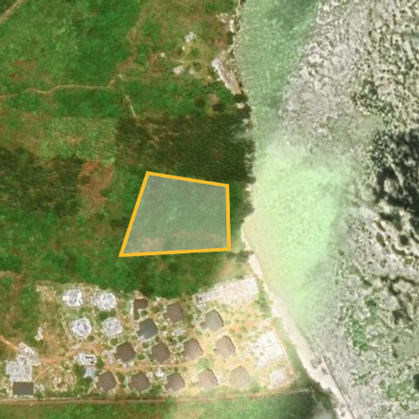 Satellite image showing a green landscape with various textures. A distinct yellow-outlined area is highlighted near a rocky coastline, suggesting focus on land use.