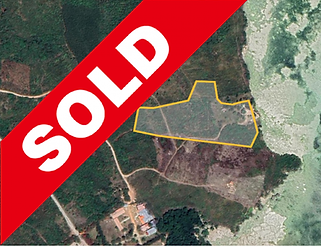 bweeju plot - SOLD (5).png