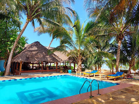 Aerial photo of botanica suites michamvi zanzibar.jpg