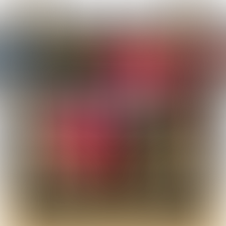 Sheffield FC announce HUGE plans for football back in the city!