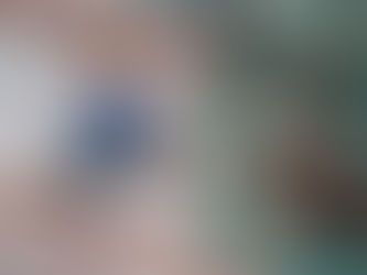 Understanding the Perks of Expert Tree Providers