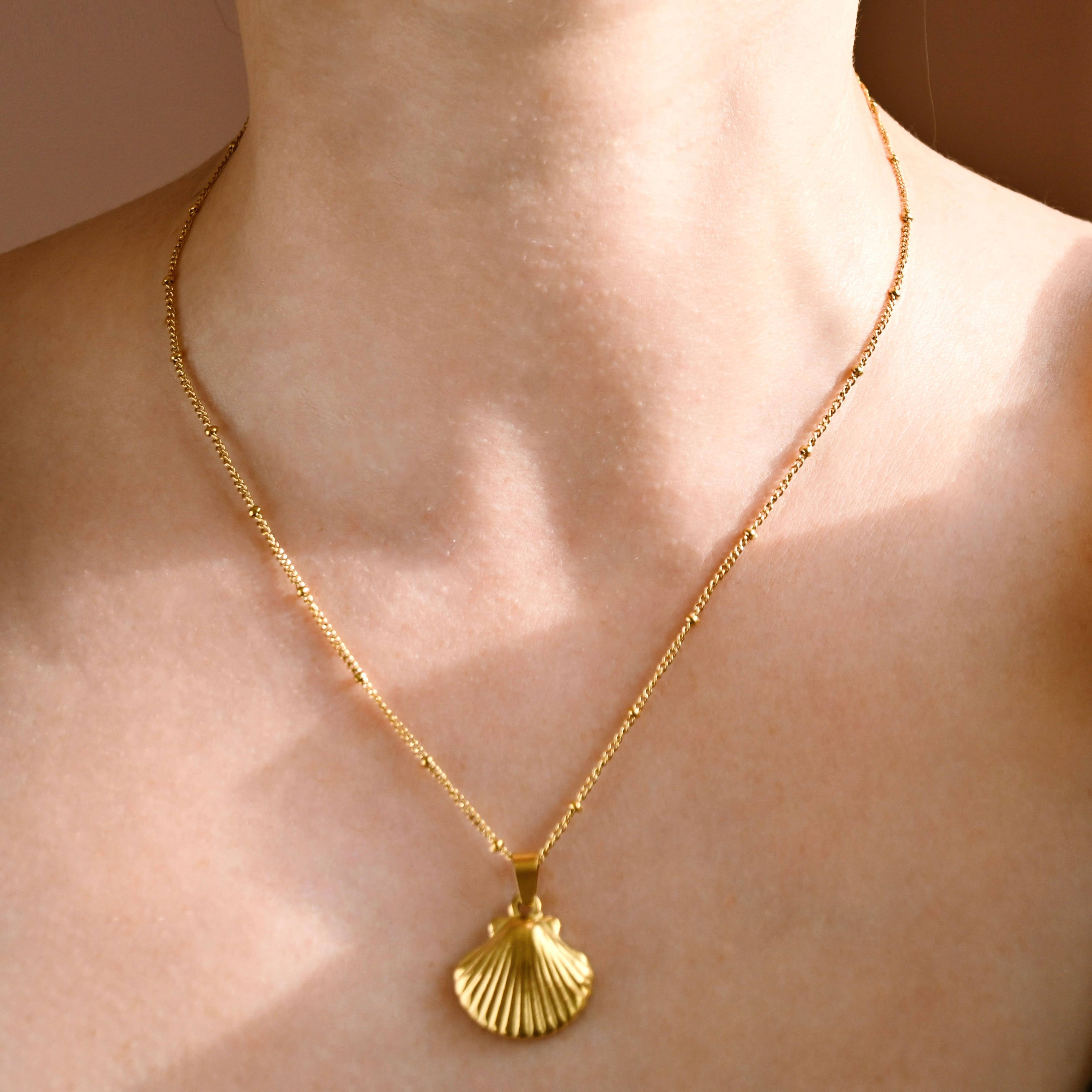 Seashell Necklace
