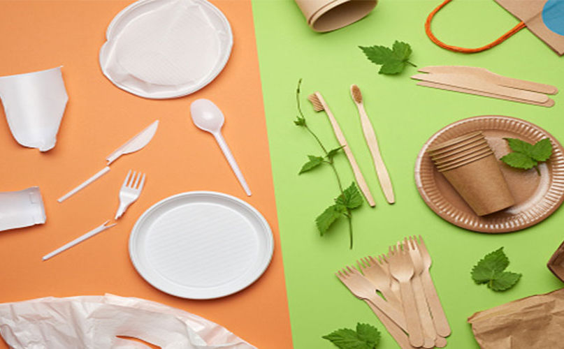 Biodegradable-Disposable-Tableware.jpg