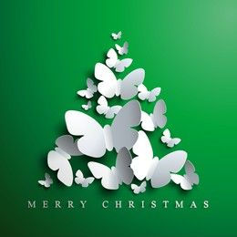 DEBRA NZ NEWSLETTER CHRISTMAS 2022