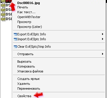 Exif Farm Free Download