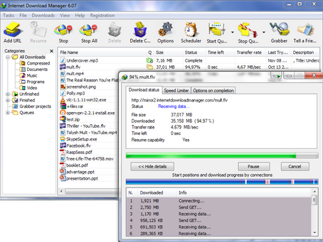 DownloadManager License Key