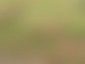 Cheetah  Download [Win/Mac] [2022-Latest]