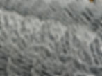 EAP_MALLA_0_edited.jpg