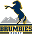 Brumbies_Rugby_logo.svg-3.png
