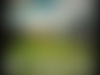 Alt Country. Ain't Dead Yet #22 Playlist