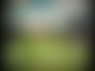 Alt Country. Ain't Dead Yet #2 Playlist