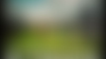 Alt Country. Ain't Dead Yet #32 Playlist