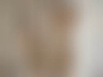 The Baldoni Standard: A Philosophy of Care, Beauty & Belonging