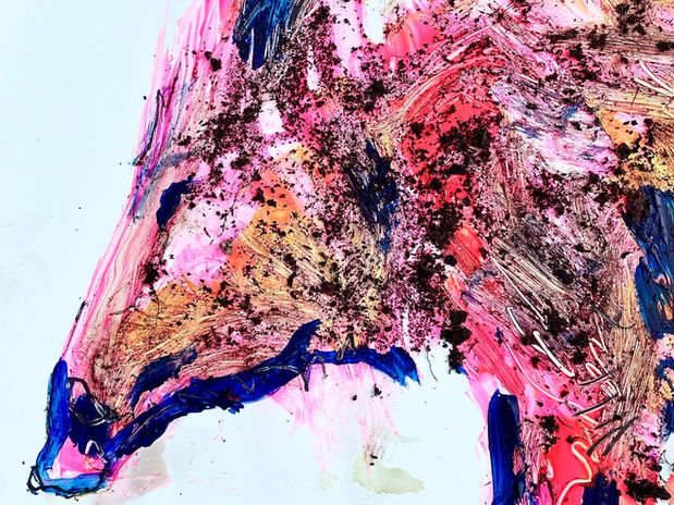 138B9C6E-883D-4000-95E2-C5AA04F77807 2.JPG