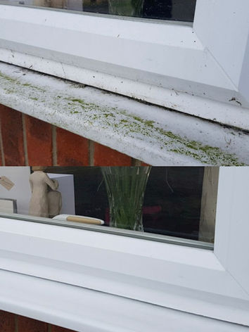 window cleaning