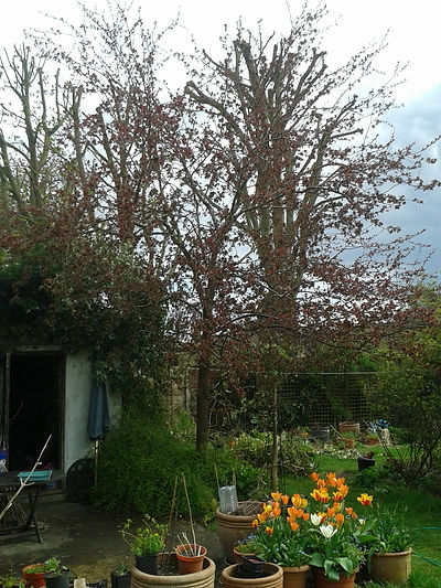 Profusion_15April.jpg