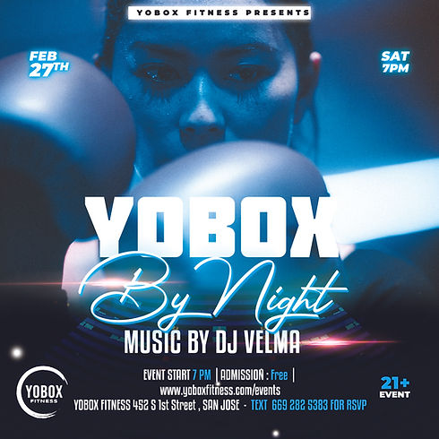 yobox by night.jpg