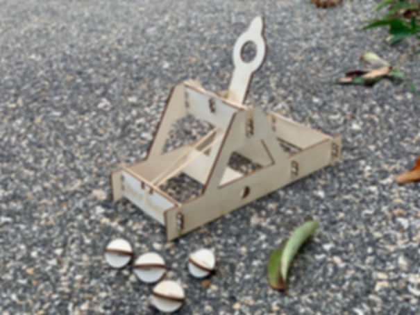 Build Your Own Catapult Kit
