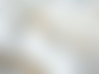 Oasis Linens Review: Exploring Oasis Fine Linens' Unique Offerings