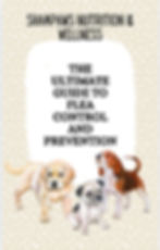 The Ultimate Guide To Flea Control