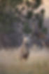 C76A7395.JPG