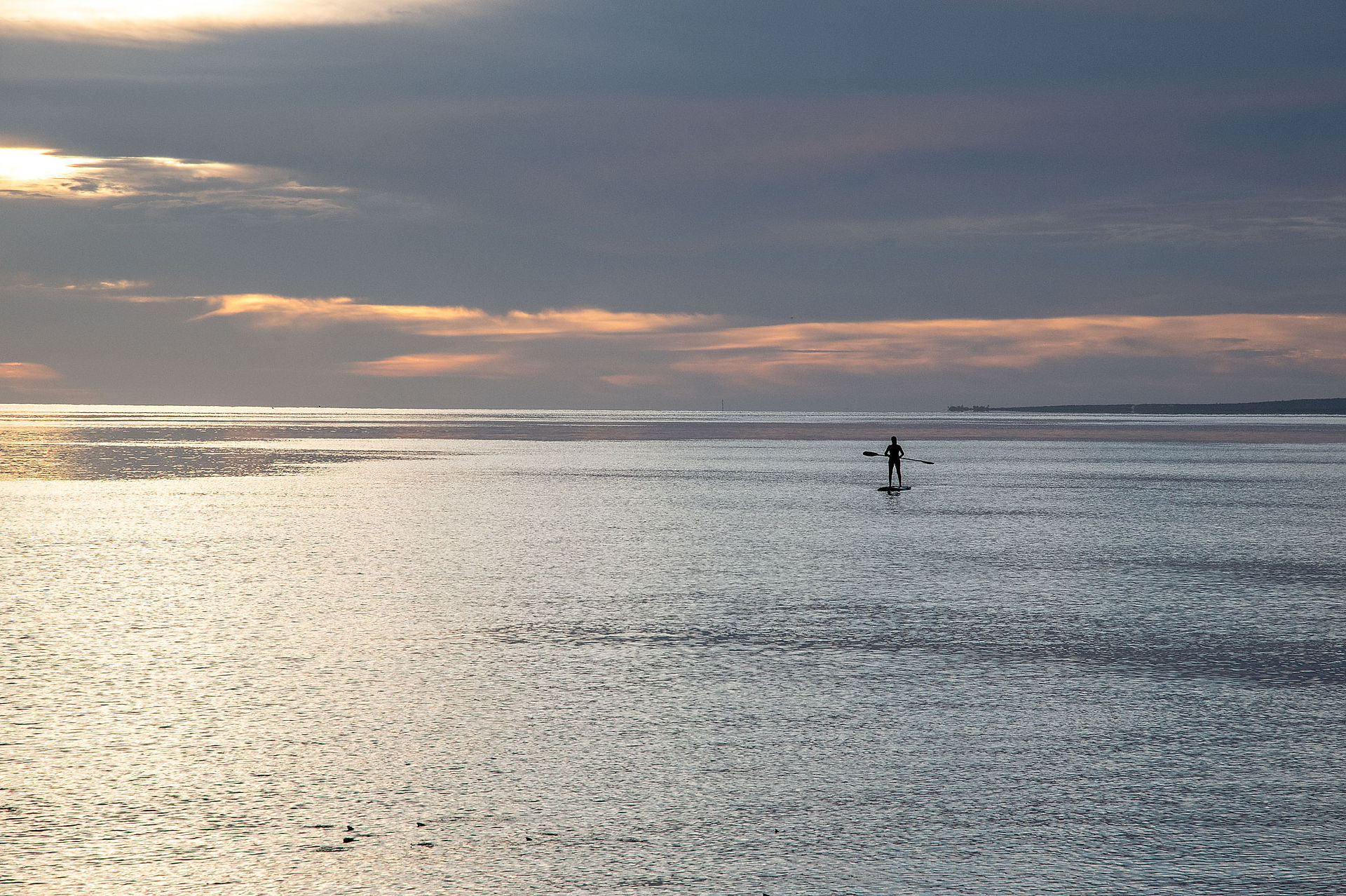 Sup surfing early morning on the Sea of Cortez, La Ventana