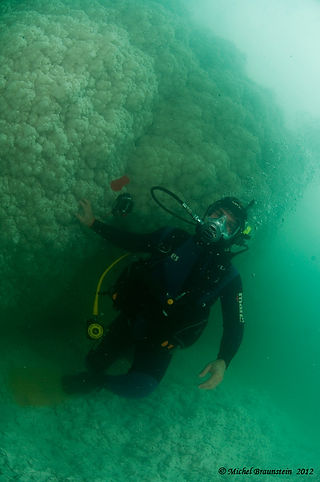 Diver exploring salt rocks underwater the Dead Sea