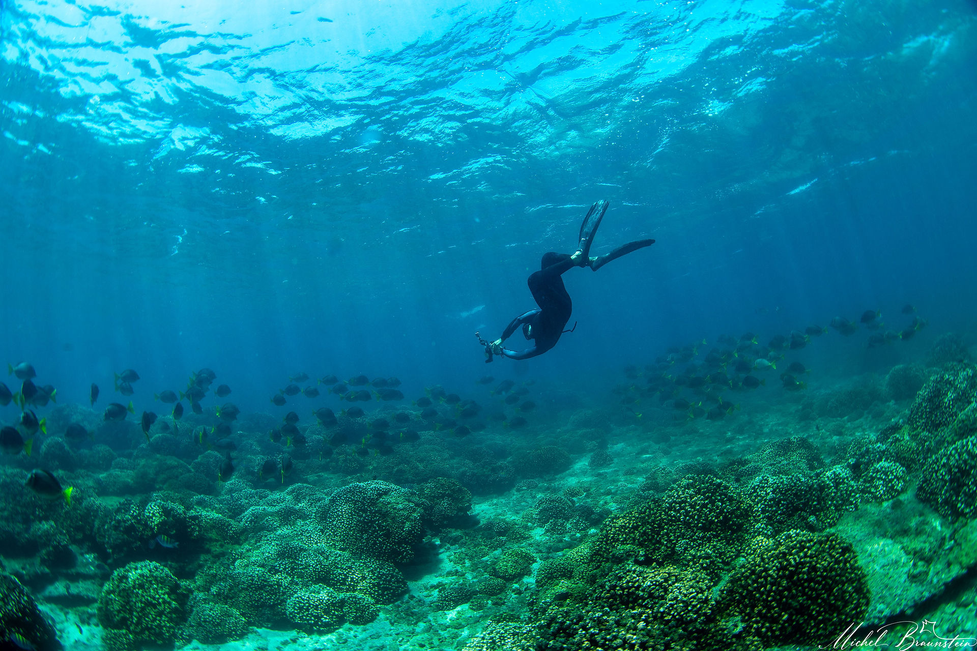 Free diving on La Ventana Reefs, Sea of Cortez