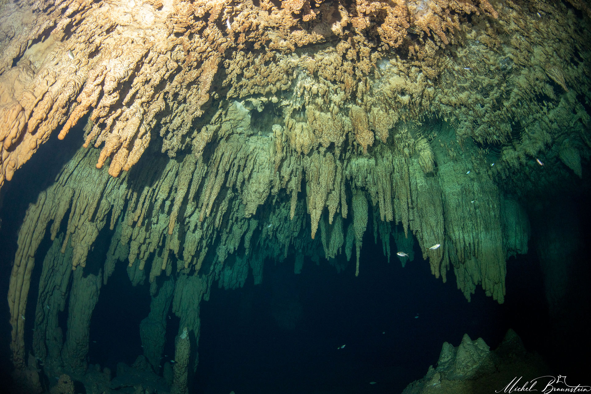 Underwater Tak Beluum Cenote, Tulum, Quntana Roo