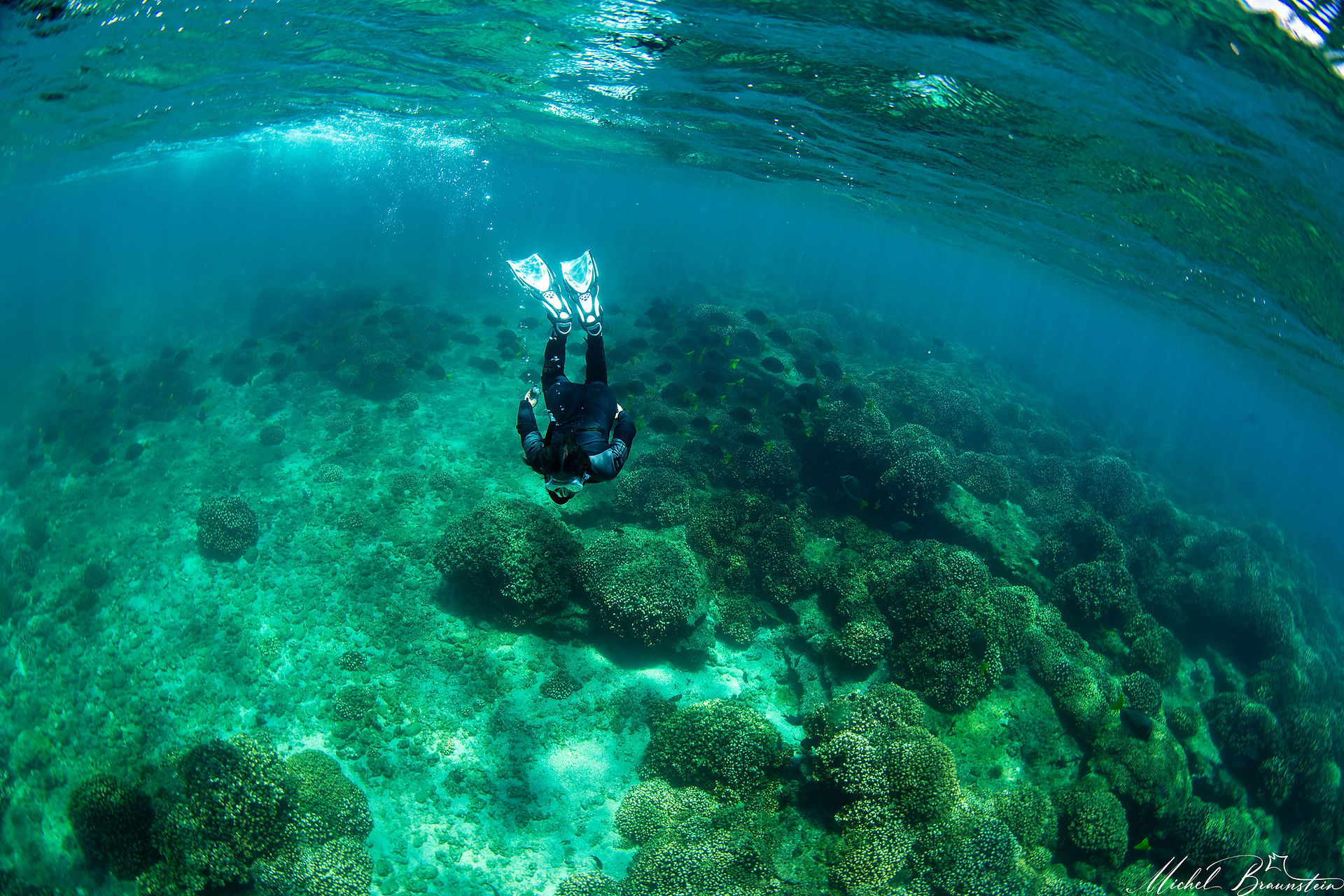 Free diving on La Ventana Reefs, Sea of Cortez