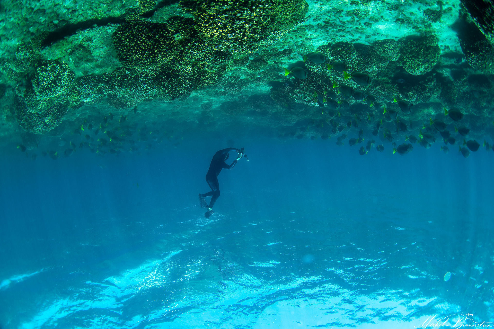 Free diving on La Ventana Reefs, Sea of Cortez