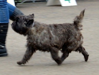 _DSC5797 (1).jpeg