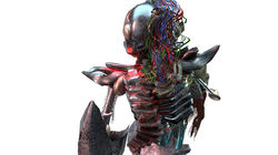 25507814_10209015665902674_7854044589303