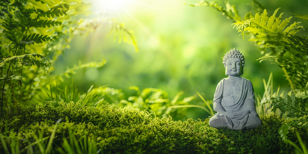 Yoga am Morgen - Kurs