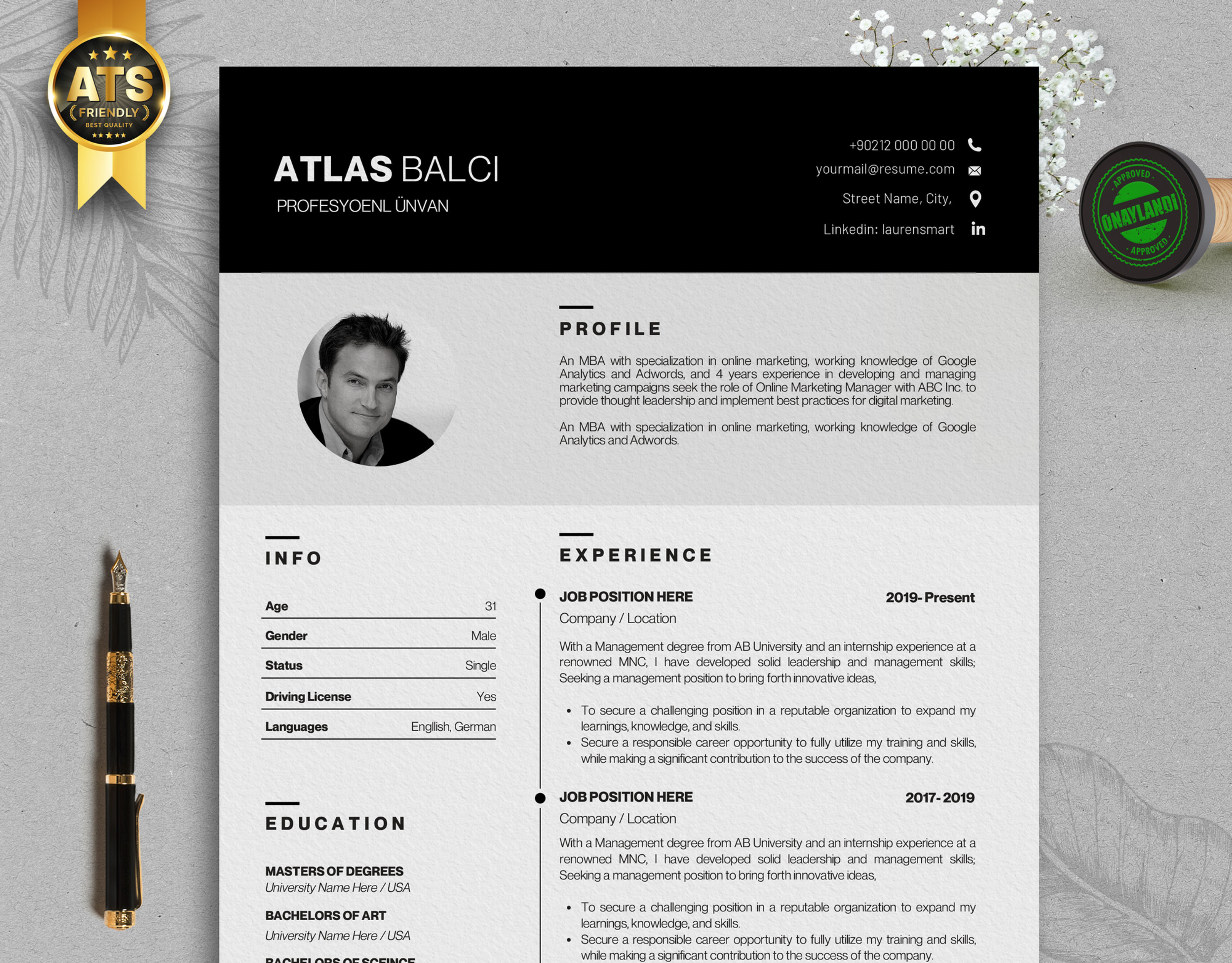 CV032 Profesyonel CV Şablonu, ATS Dostu, Minimal Özgeçmiş