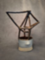 Dorsey TrellisTulip1