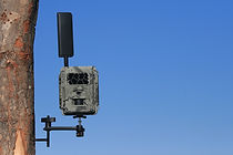 EZ-Aim IV w_ bottom mounted camera.jpg